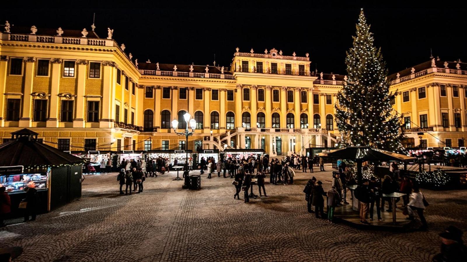 Family&Friends Apartments Schoenbrunn 비엔나 외부 사진